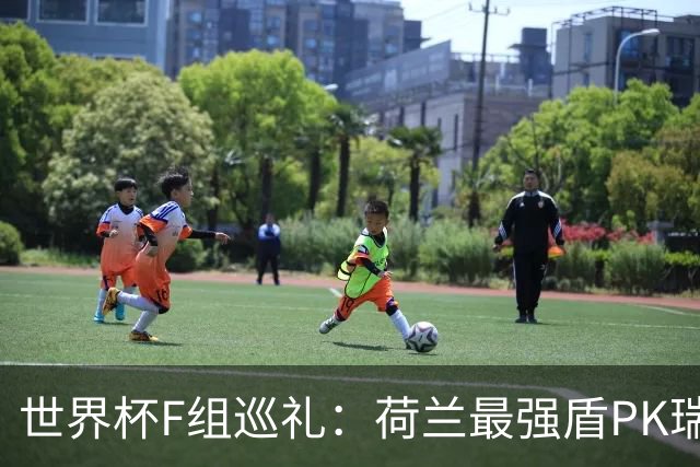 世界杯F组巡礼：荷兰最强盾PK瑞典犀利刀 日本短板明显